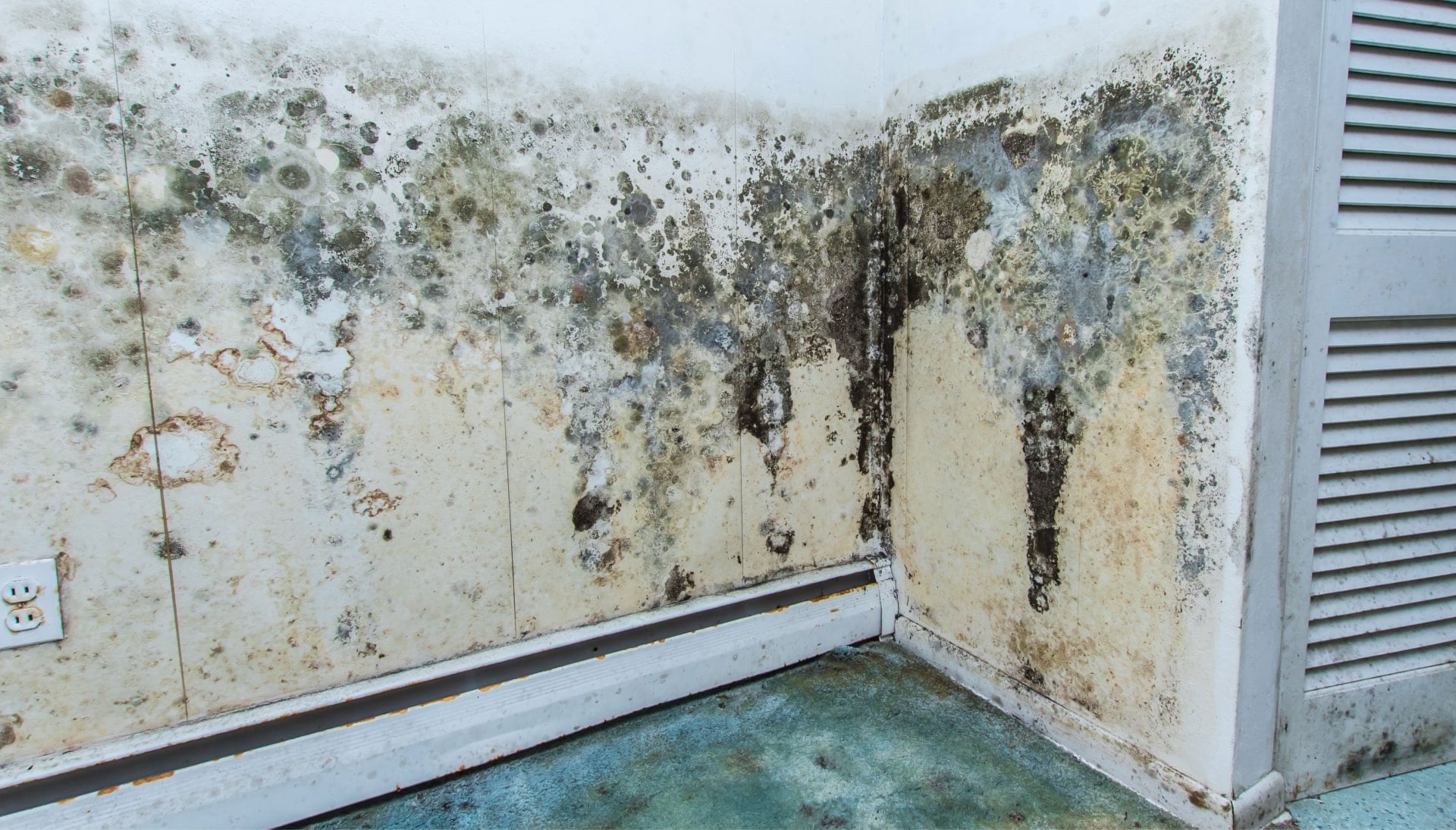 Professional mold removal, odor control, and water damage restoration service in Kansas City, Missouri.