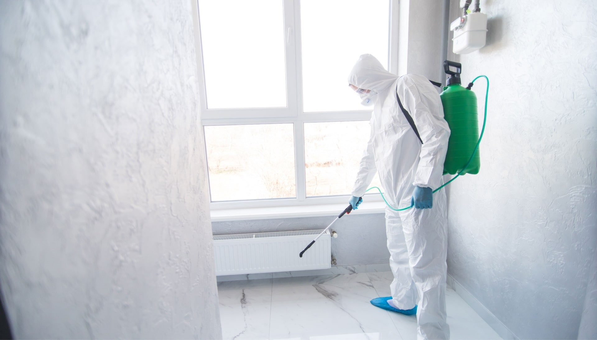 We provide the highest-quality mold inspection, testing, and removal services in the Kansas City, Missouri area.